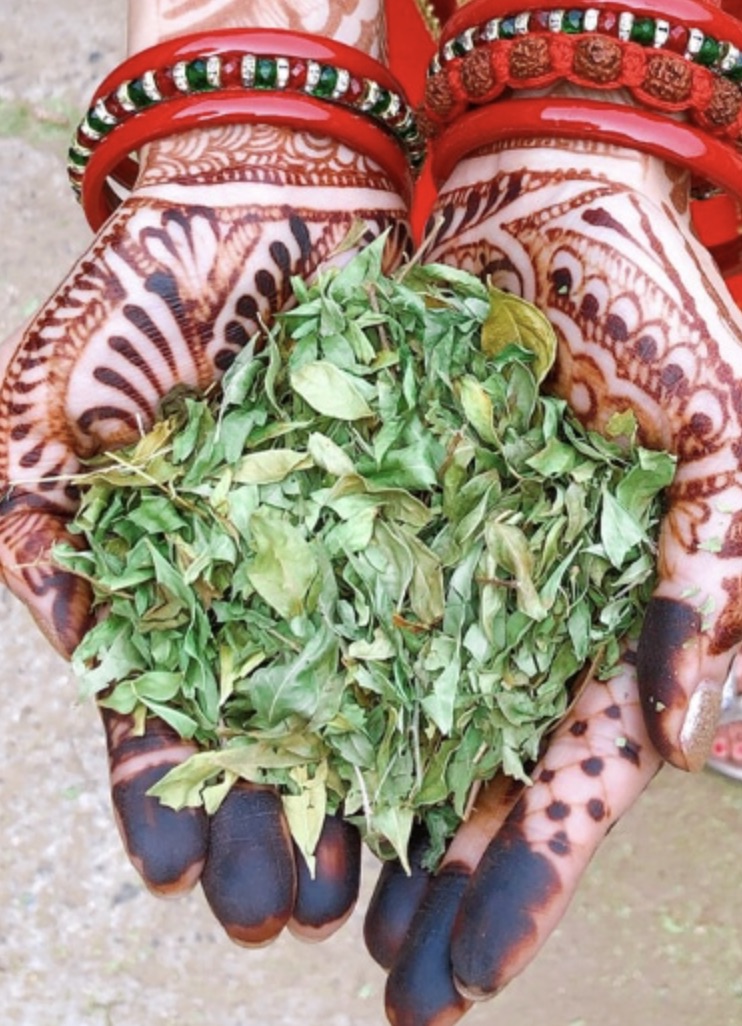 ヘナパウダーの詳細