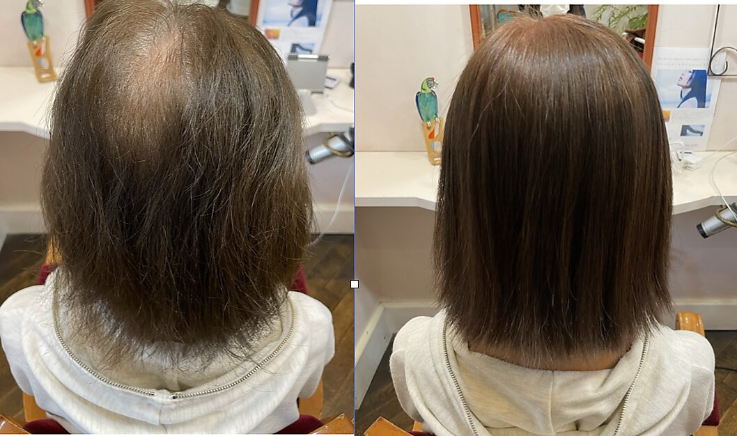 ヘアリセッター